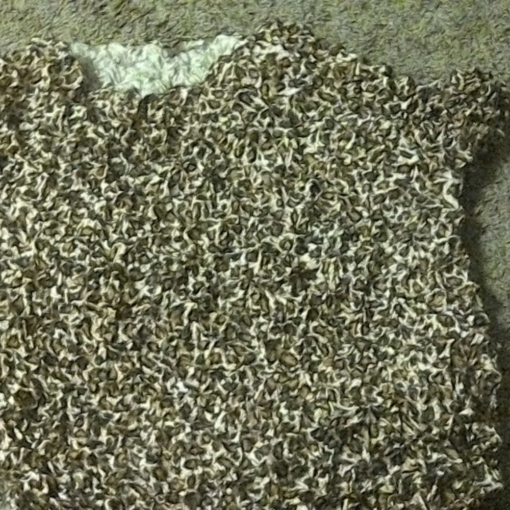 Popcorn cheetah shirt